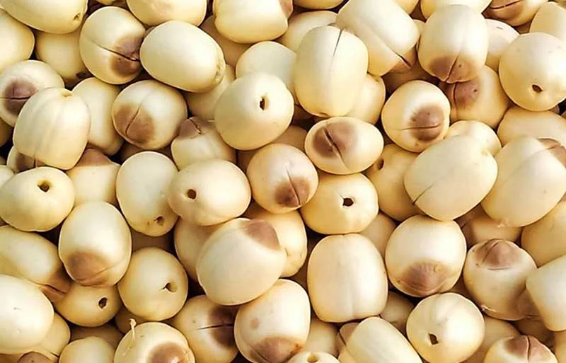 Dong Thap Lotus Seeds (Hat Sen)